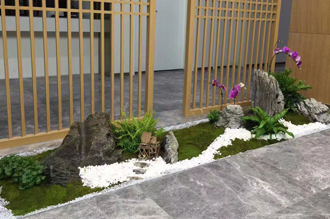 �����̻�ֲ������